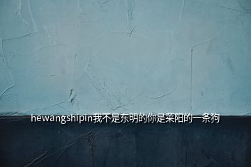 hewangshipin我不是东明的你是莱阳的一条狗