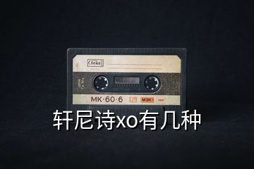 轩尼诗xo有几种