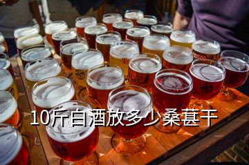 10斤白酒放多少桑葚干