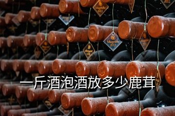 一斤酒泡酒放多少鹿茸