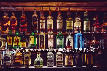 人头马remy martin vsop特级香槟干邑多少钱