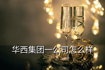 华西集团一公司怎么样