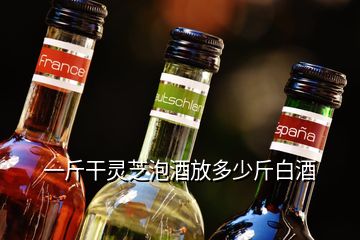 一斤干灵芝泡酒放多少斤白酒