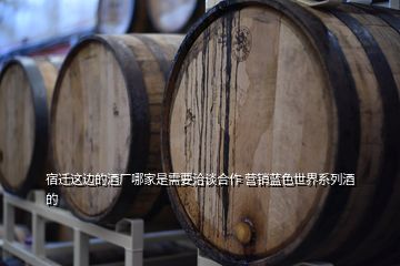 宿迁这边的酒厂哪家是需要洽谈合作 营销蓝色世界系列酒的