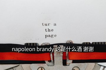 napoleon brandy 这是什么酒 谢谢