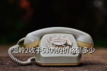 温岭2收手5300的价格是多少