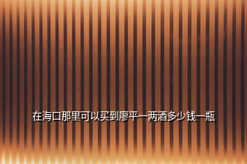 在海口那里可以买到廖平一两酒多少钱一瓶