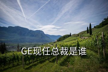 GE现任总裁是谁