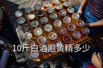 10斤白酒泡黄精多少