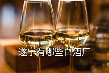 遂宁有哪些白酒厂