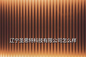 辽宁圣思特科技有限公司怎么样