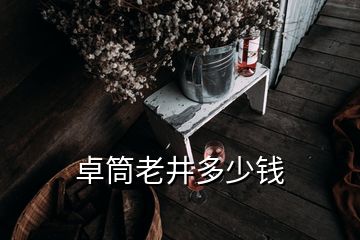 卓筒老井多少钱