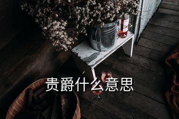 贵爵什么意思