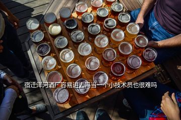 宿迁洋河酒厂容易进去吗当一个小技术员也很难吗