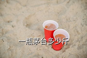 一瓶茅台多少斤