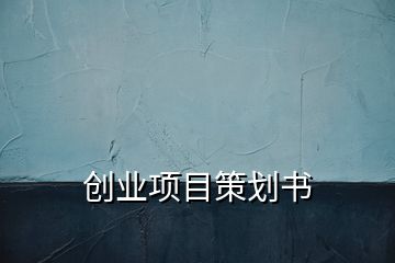 创业项目策划书