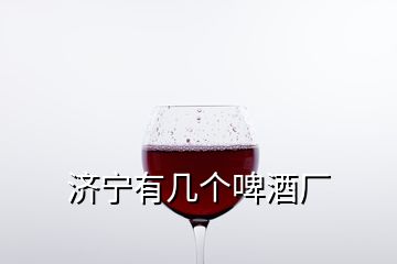 济宁有几个啤酒厂