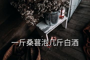 一斤桑葚泡几斤白酒