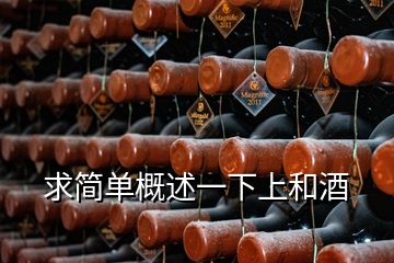 求简单概述一下上和酒