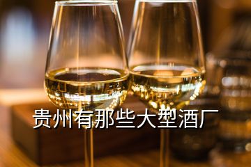 贵州有那些大型酒厂