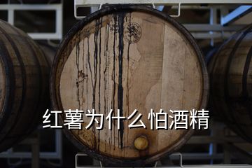 红薯为什么怕酒精