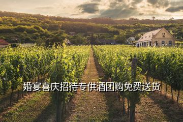婚宴喜庆招待专供酒团购免费送货