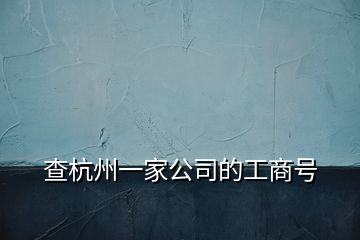 查杭州一家公司的工商号