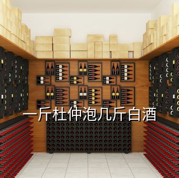 一斤杜仲泡几斤白酒