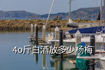 4o斤白酒放多少杨梅