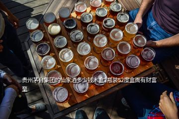 贵州茅台集团的仙家酒多少钱木盒2瓶装52度盒面有财富至