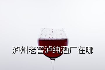 泸州老窖泸纯酒厂在哪