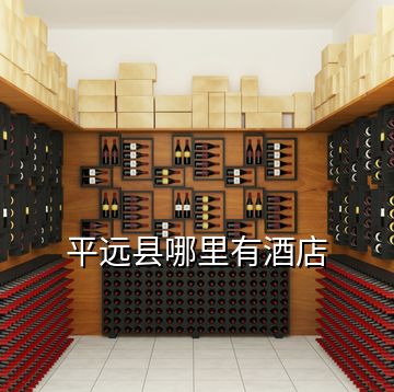 平远县哪里有酒店