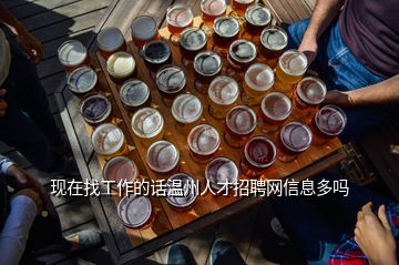 现在找工作的话温州人才招聘网信息多吗