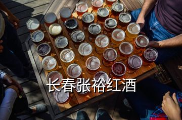 长春张裕红酒