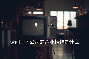 请问一下公司的企业精神是什么