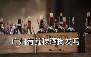 广州有鑫稞酒批发吗