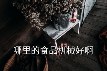 哪里的食品机械好啊