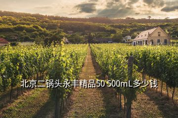 北京二锅头永丰精品50 500mL多少钱