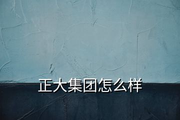 正大集团怎么样