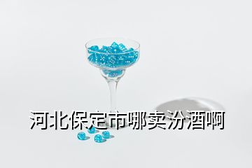 河北保定市哪卖汾酒啊