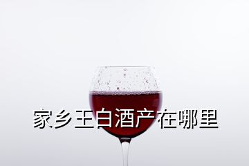 家乡王白酒产在哪里