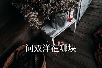 问双洋在哪块