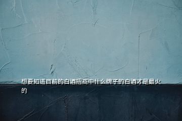 想要知道目前的白酒招商中什么牌子的白酒才是最火的