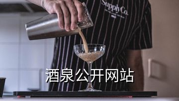 酒泉公开网站