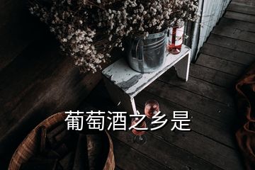 葡萄酒之乡是