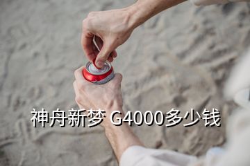 神舟新梦 G4000多少钱