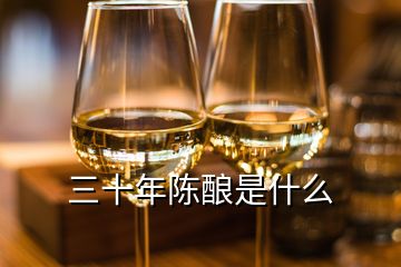 三十年陈酿是什么