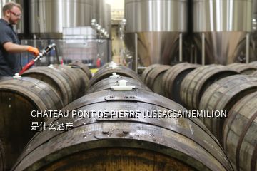 CHATEAU PONT DE PIERRE LUSSACSAINEMILION 是什么酒产