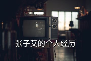 张子艾的个人经历