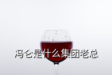 冯仑是什么集团老总